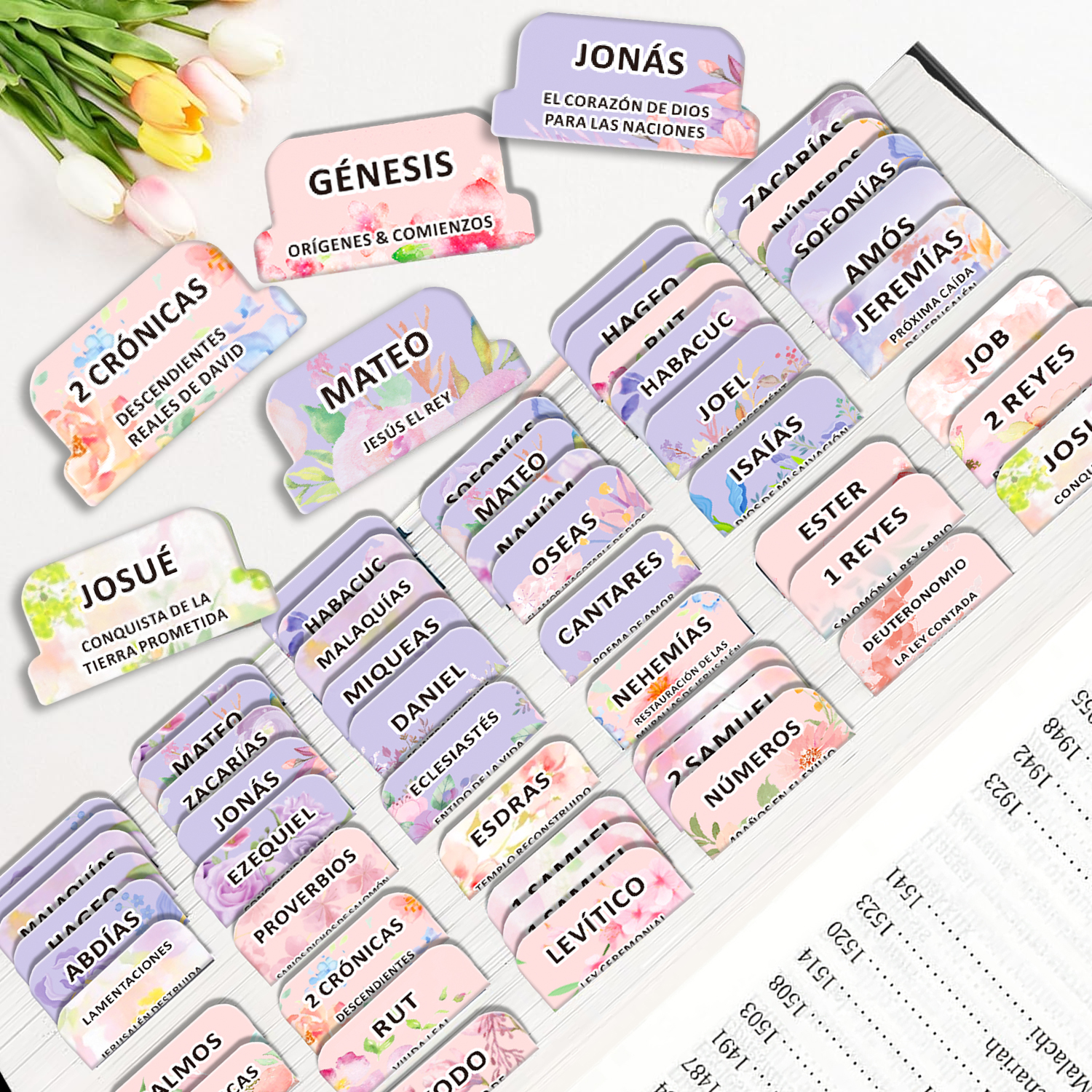 80pcs Spanish Bible Tabs-Soul  - Index Tab Divider のレビューと価格