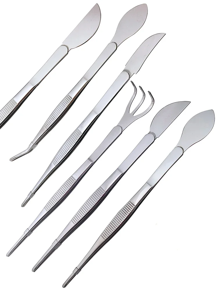 1pc 2-in-1  304 Stainless Stee - Scissors Stainless Craft のレビューと価格