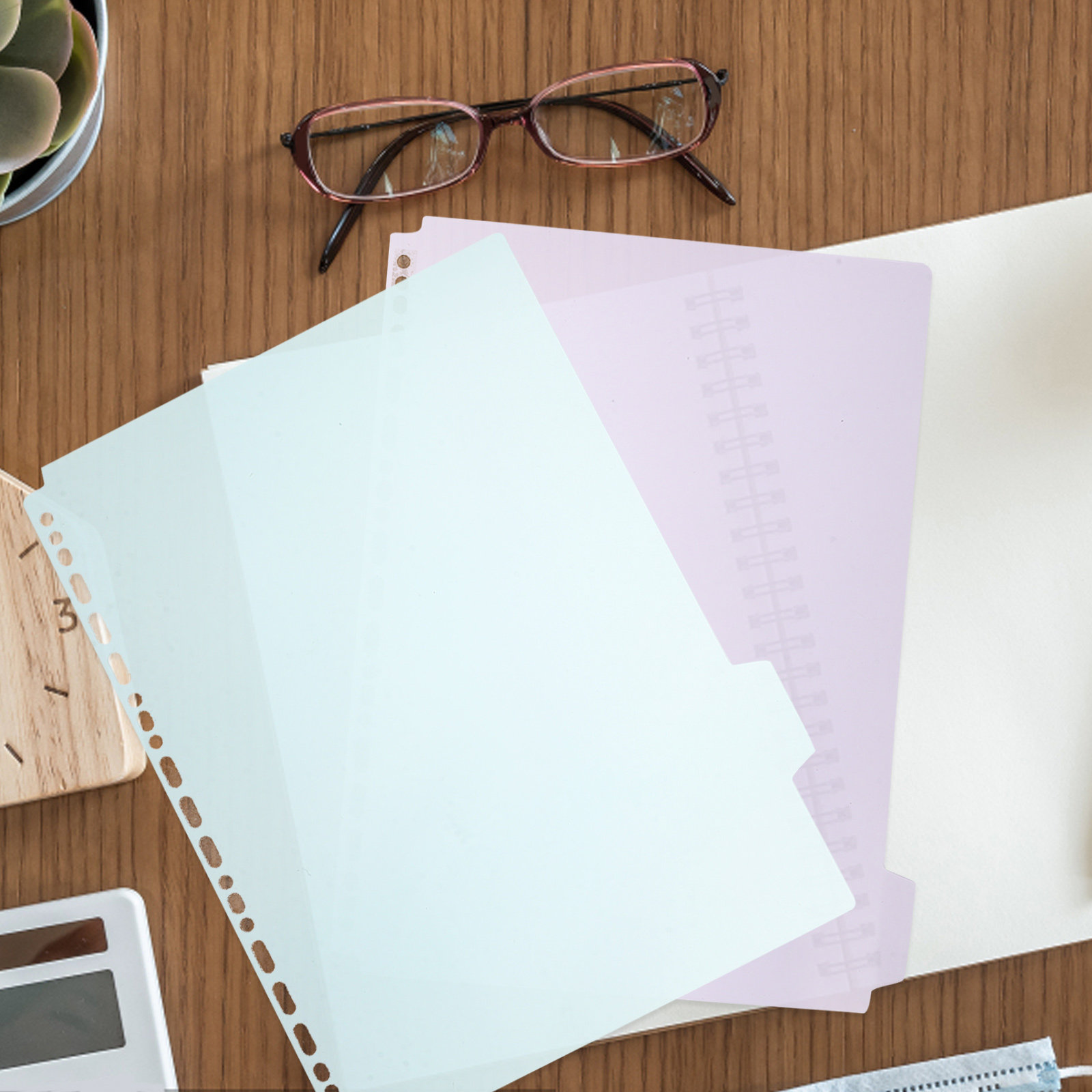6Pcs Tabbed Binder Dividers A4 - Index Tab Divider のレビューと価格