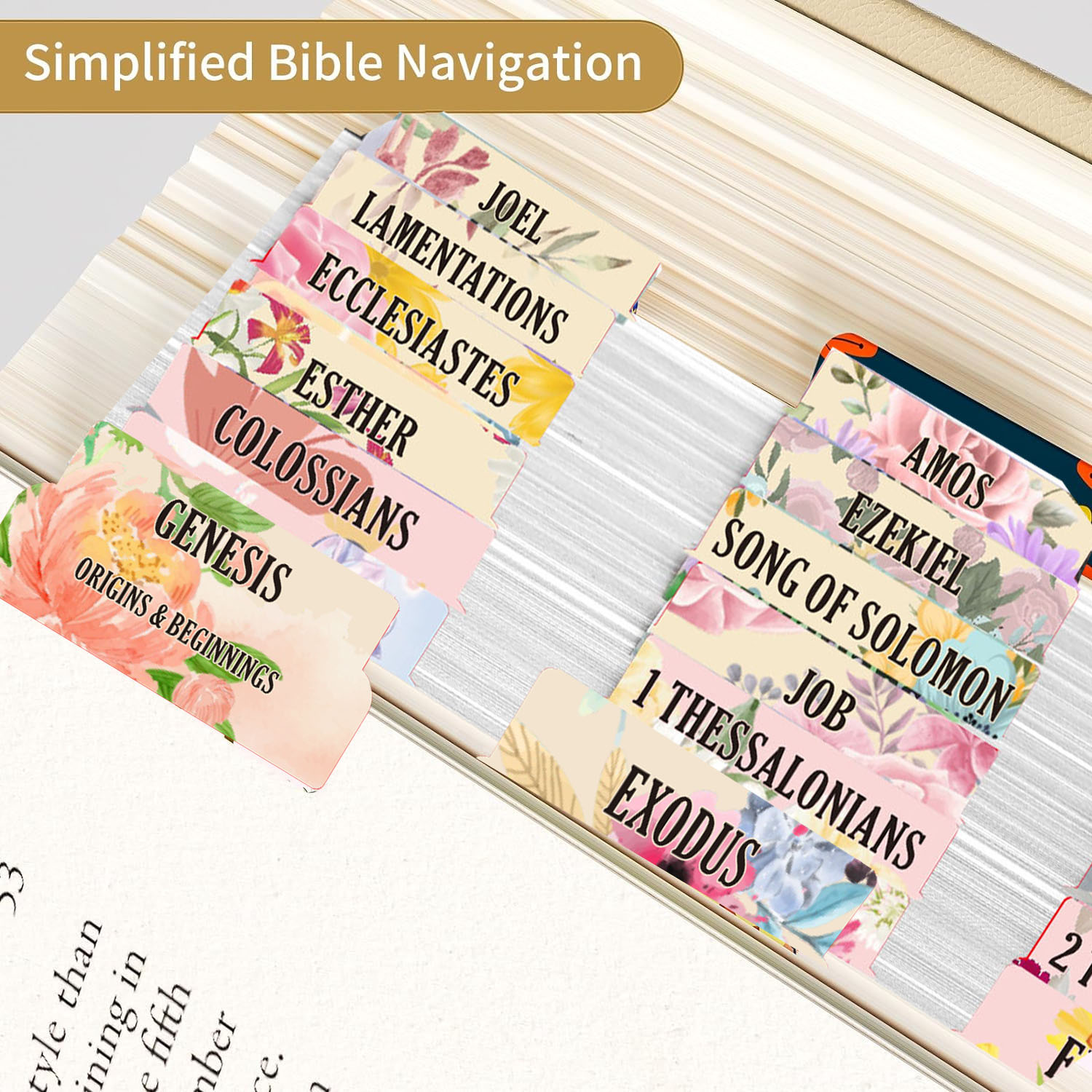 75pcs Large Font Sacred Text I - Index Tab Divider のレビューと価格