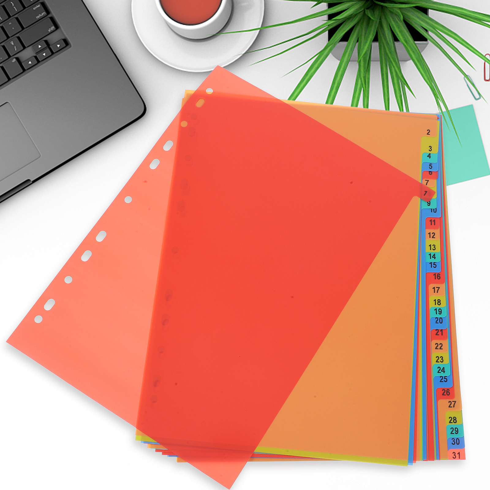 1Set Report Document Index Div - Index Tab Divider のレビューと価格