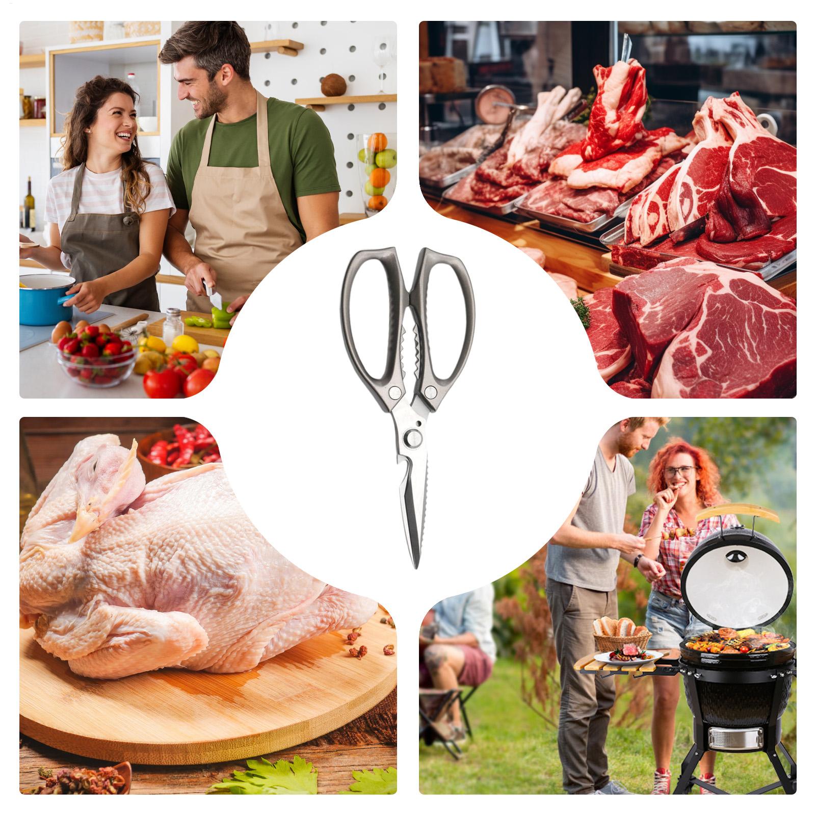 Food Scissors Stainless Steel  - Scissors Stainless Craft のレビューと価格