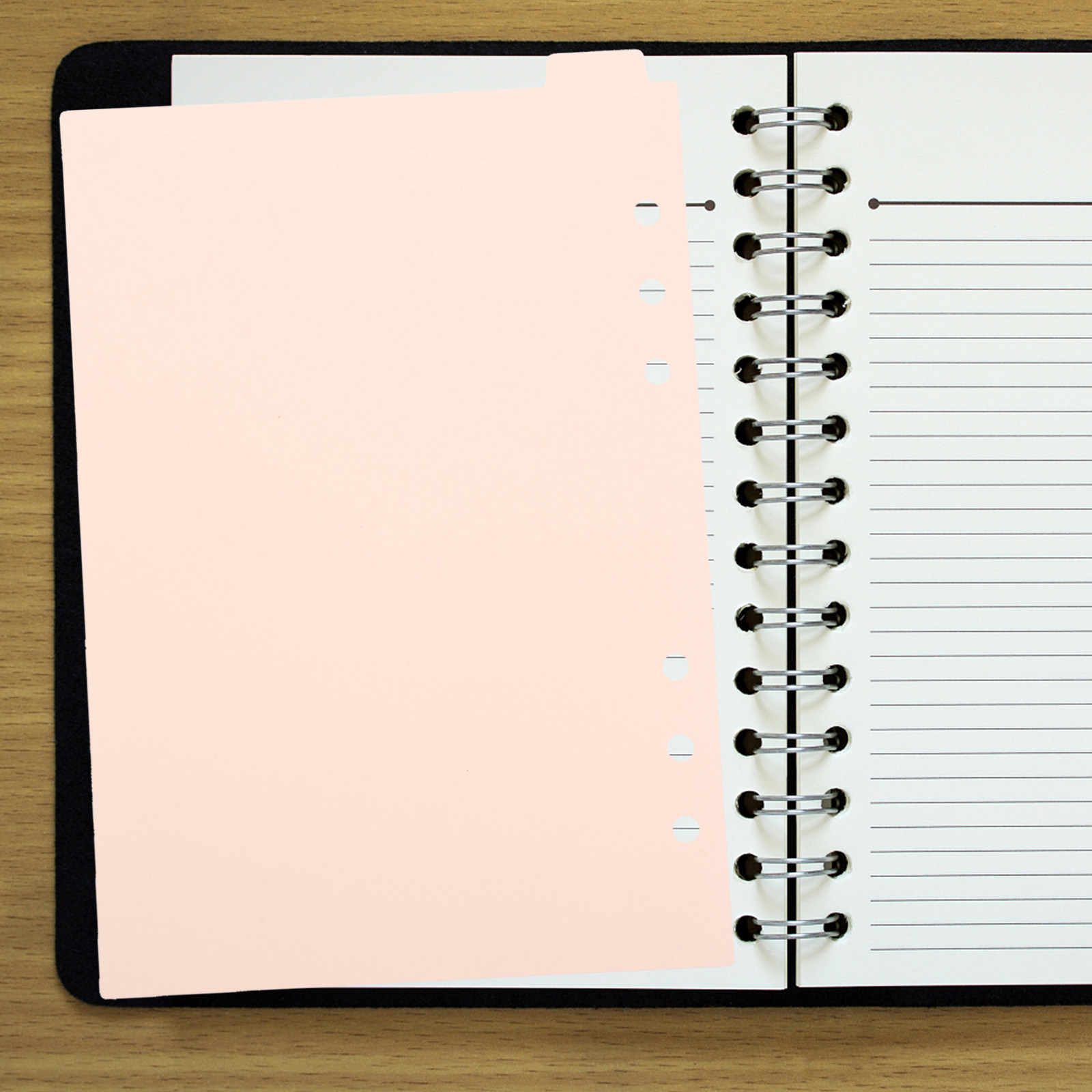 5Pcs Binder Dividers Light Pin - Index Tab Divider のレビューと価格