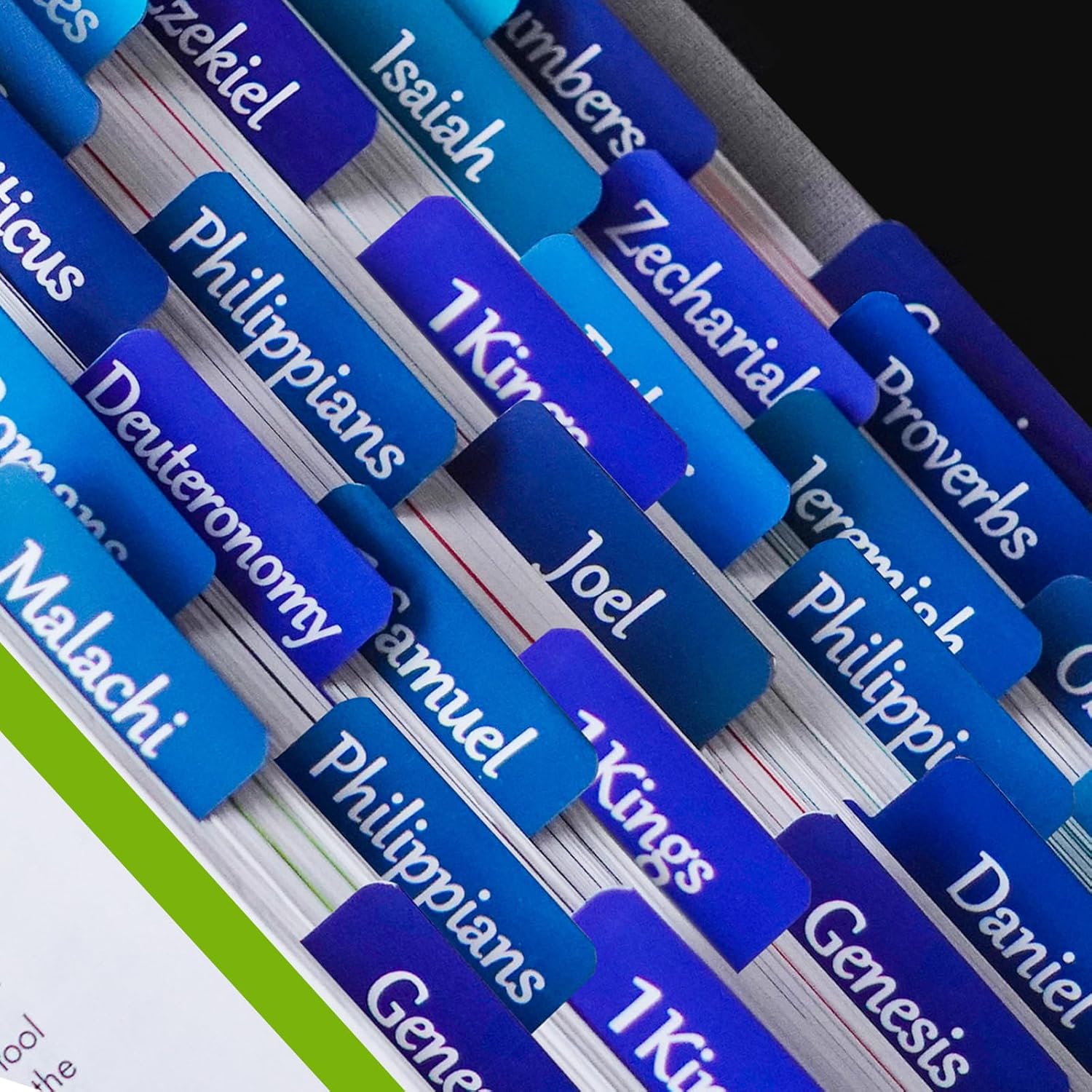 Bible Tabs for Women and Men E - Index Tab Divider のレビューと価格